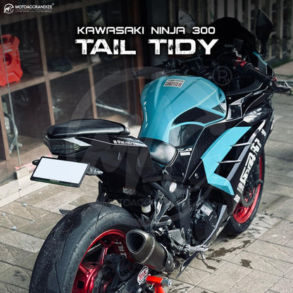 Tail Tidy / Fender Eliminator for Kawasaki Ninja 300